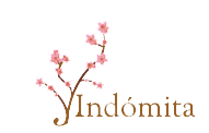 Proyecto Indómita